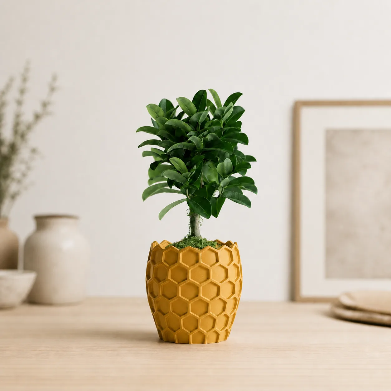 Beehavia Planter