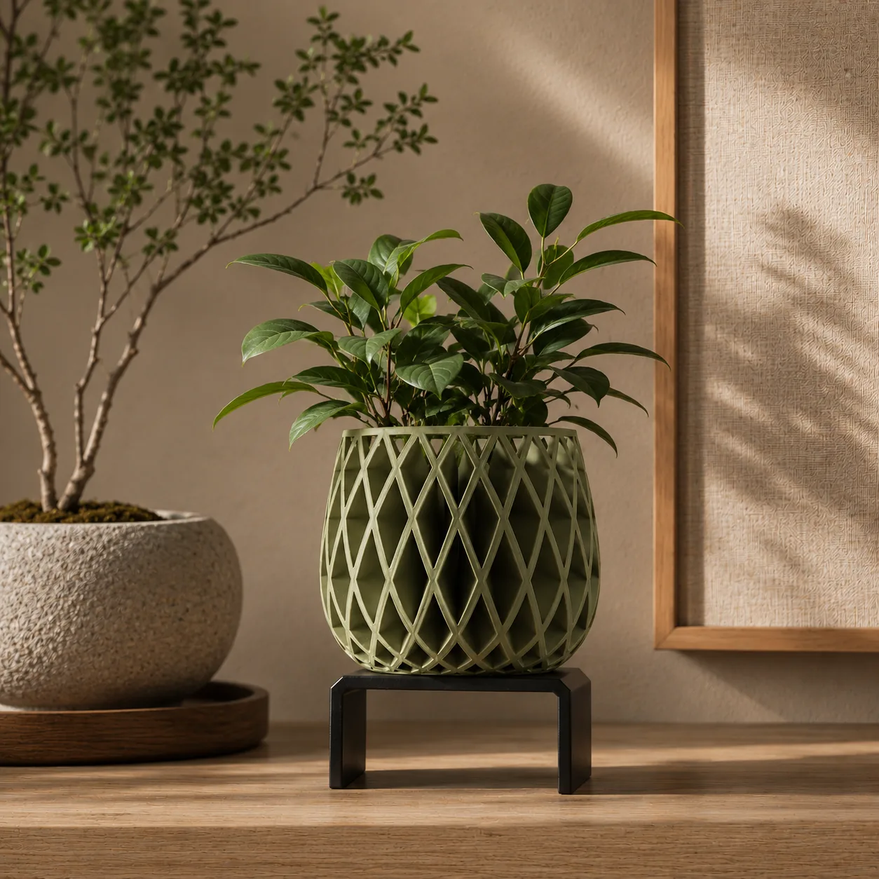 Beja Planter