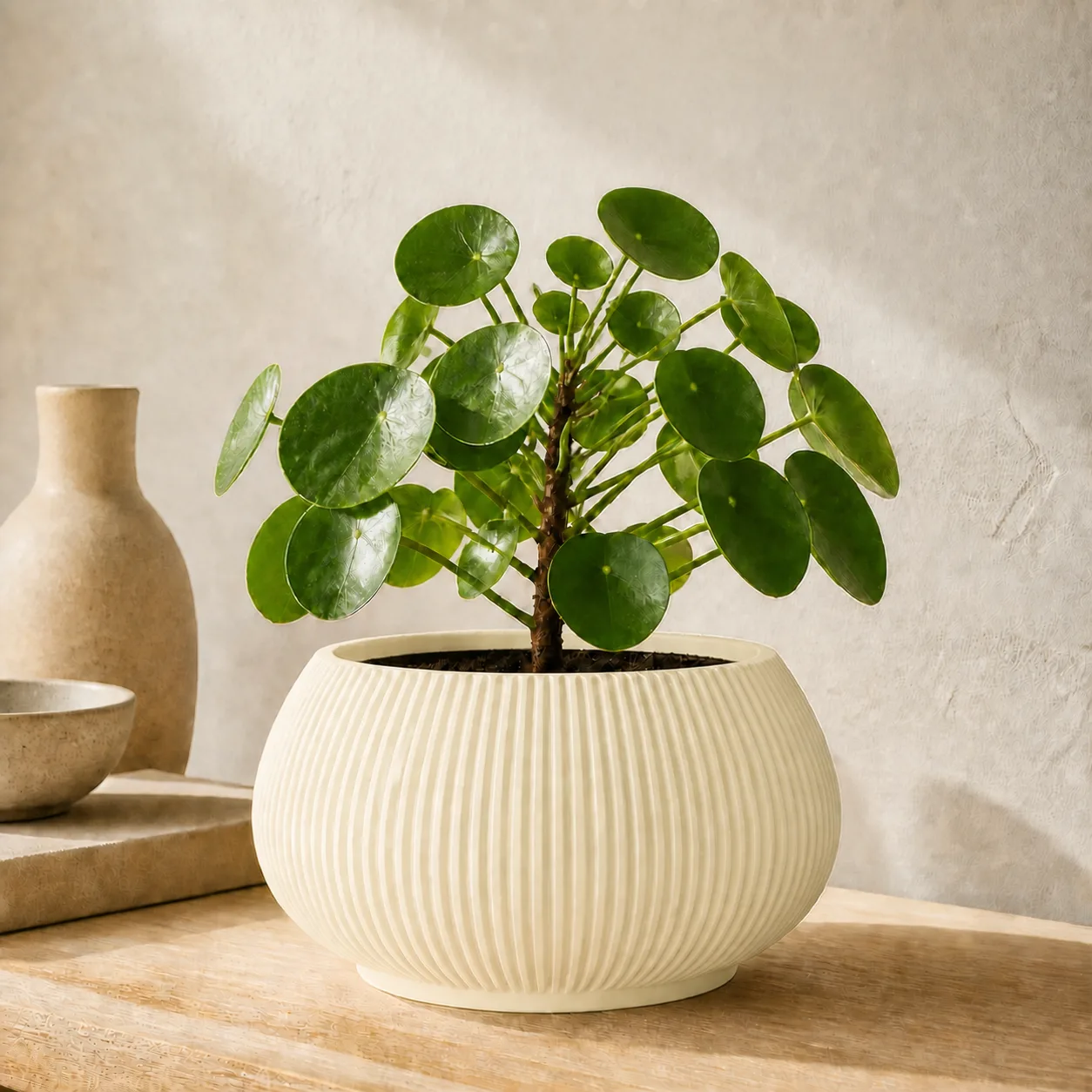 Bolla Planter