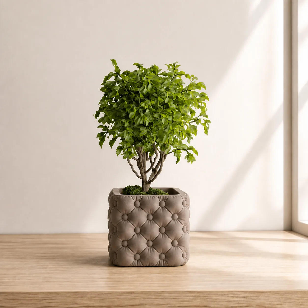 Chesterra Planter