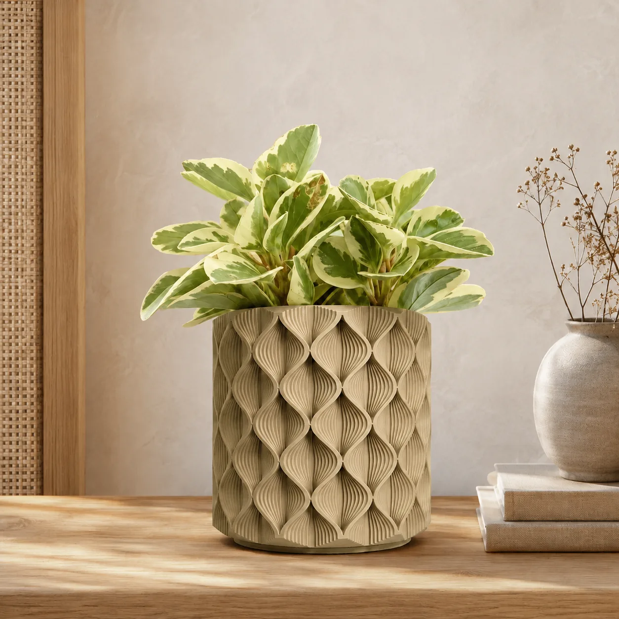 Dune 2 Planter