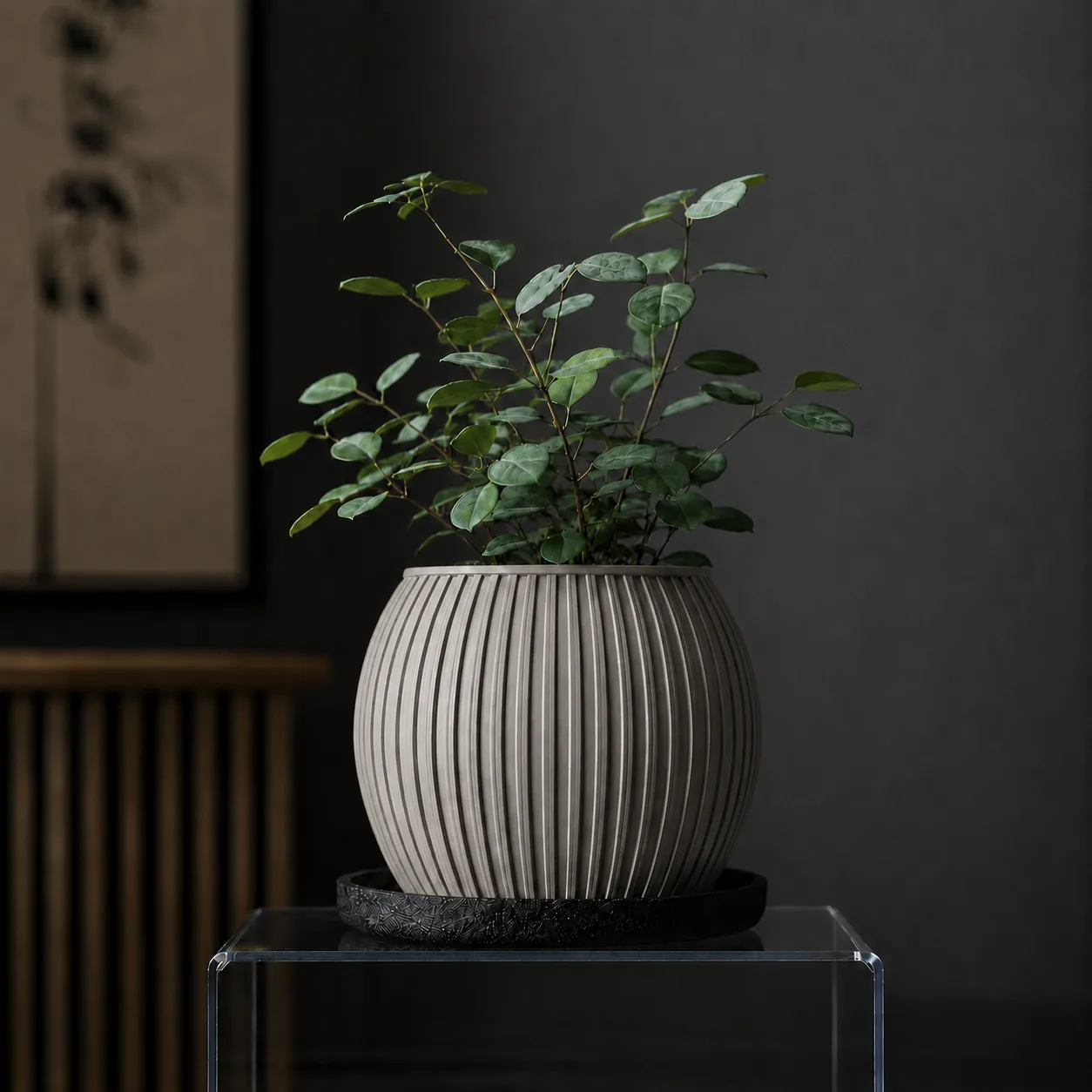 Halo Planter