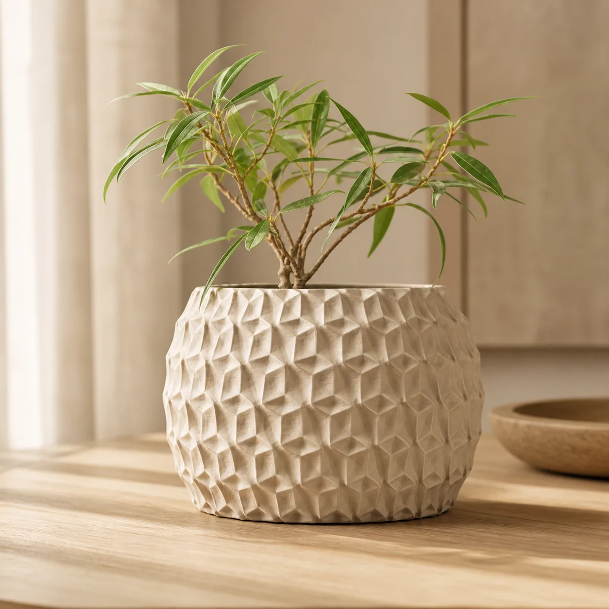 Hexa Planter