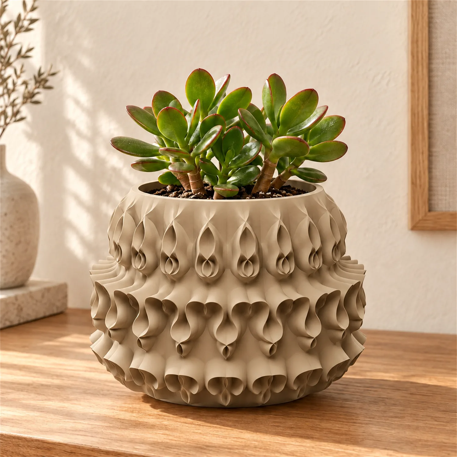Paisa Planter