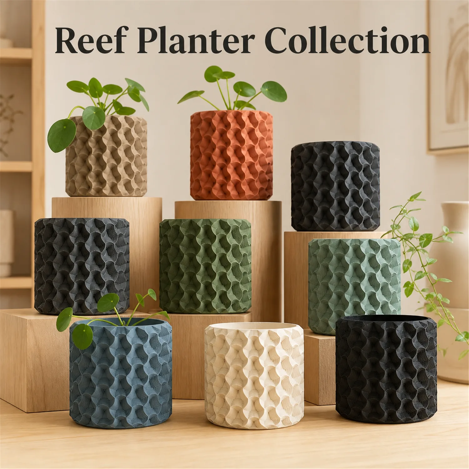 Reef Planter