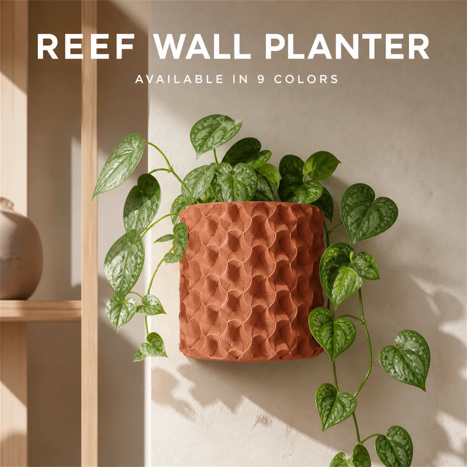 Reef Wall Planter