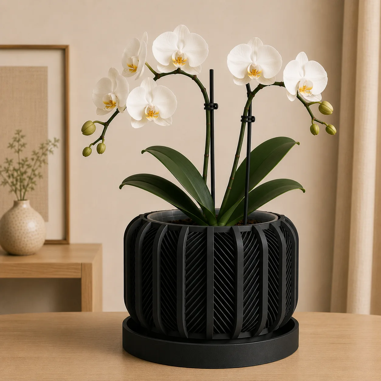 Rodex Orchid Planter