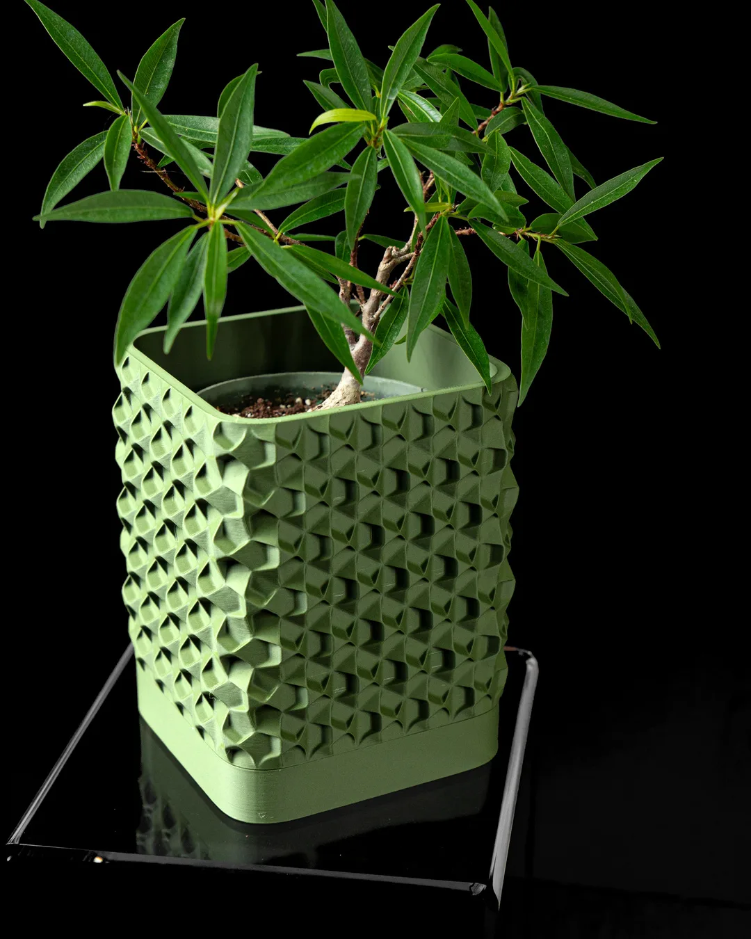 Rovi Planter
