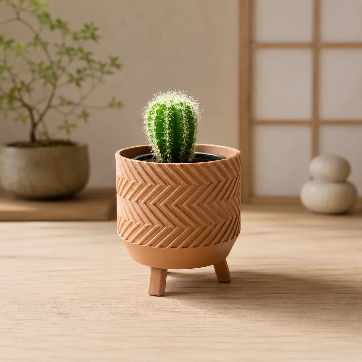 Workspace Boho Cactus Planter